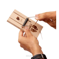 Klasyczna pułapka na szczury